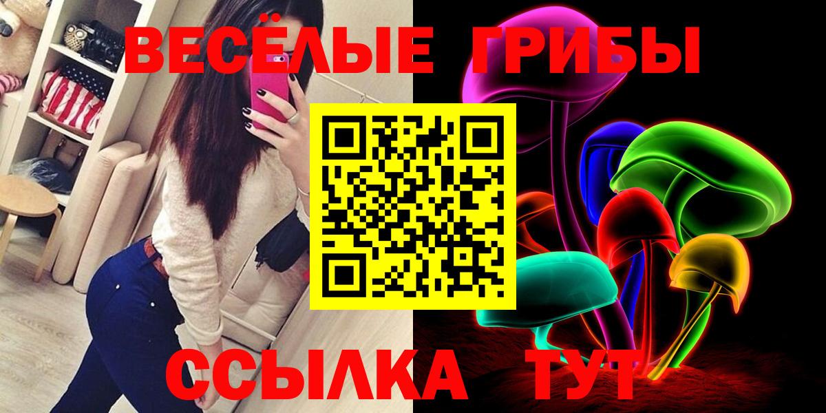 Тосно  Псилоцибиновые грибы мухоморы  Вход с VPN 