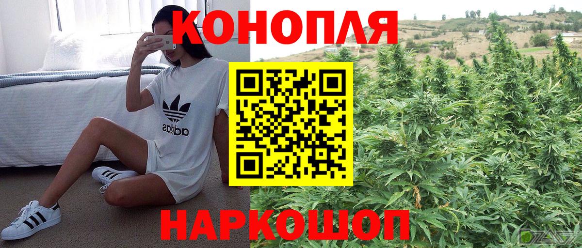 Шишки марихуана сатива  Вход с VPN  Бошки марихуана OG Kush  Бошки марихуана ГИДРОПОН  Марихуана ГИДРОПОН  Тосно 
